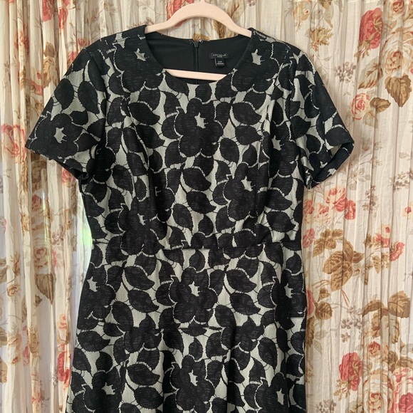 Miscellaneous brands dresses and skirts - Picture 2 of 13